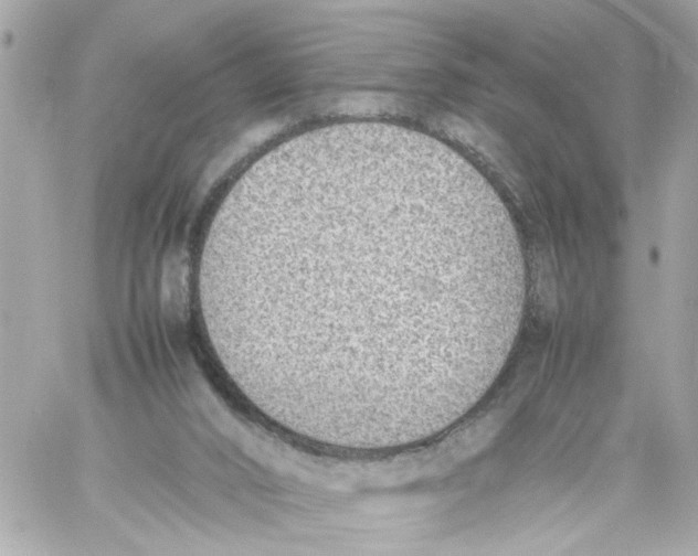 X0000057080016200510071857