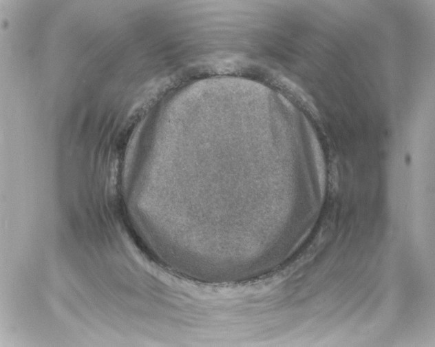 X0000057080018200510071857