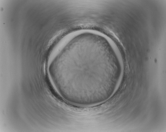 X0000057080019200510071857