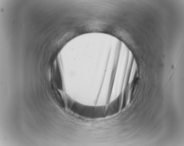 X0000057080021200510071857