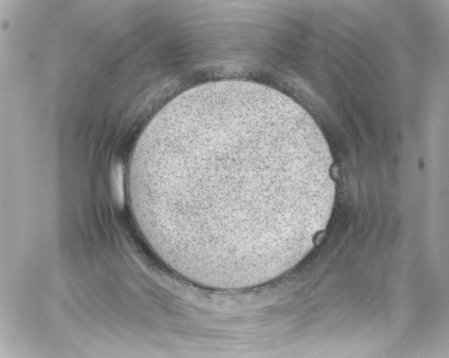 X0000057080022200510071857