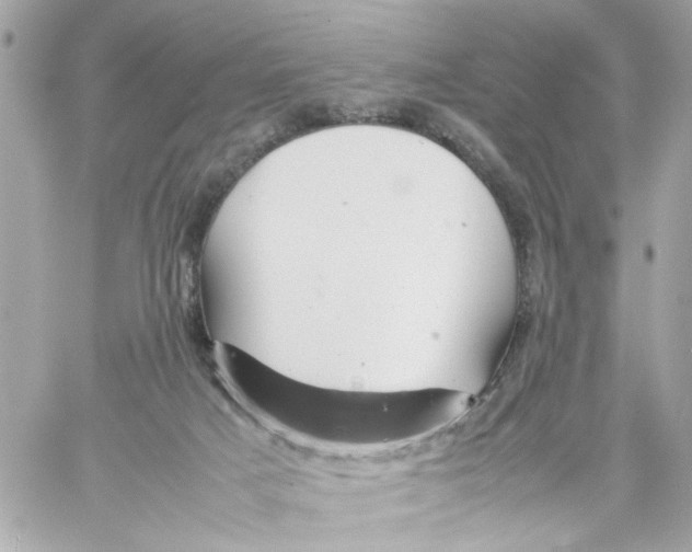 X0000057080025200510071857