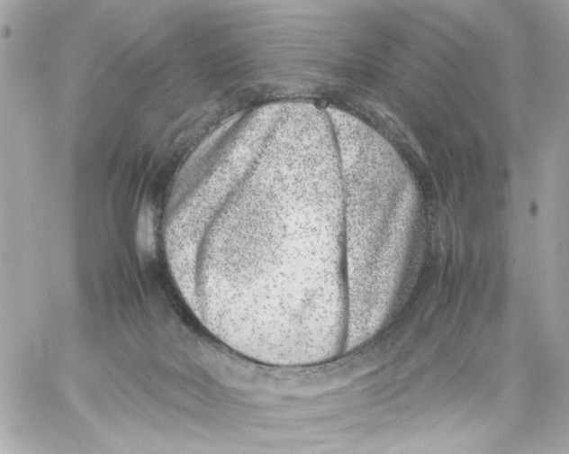 X0000057080026200510071857