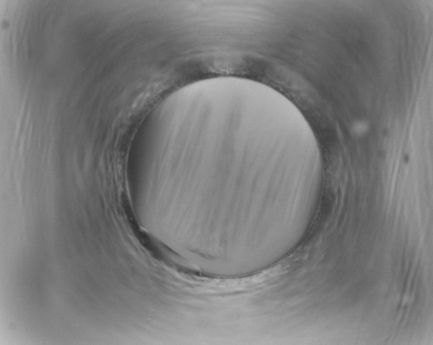 X0000057080031200510071857