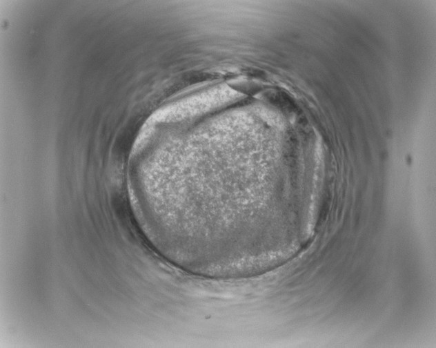 X0000057080033200510071857