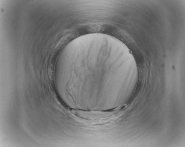 X0000057080035200510071857