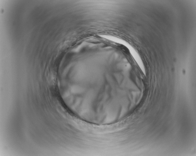 X0000057080039200510071857