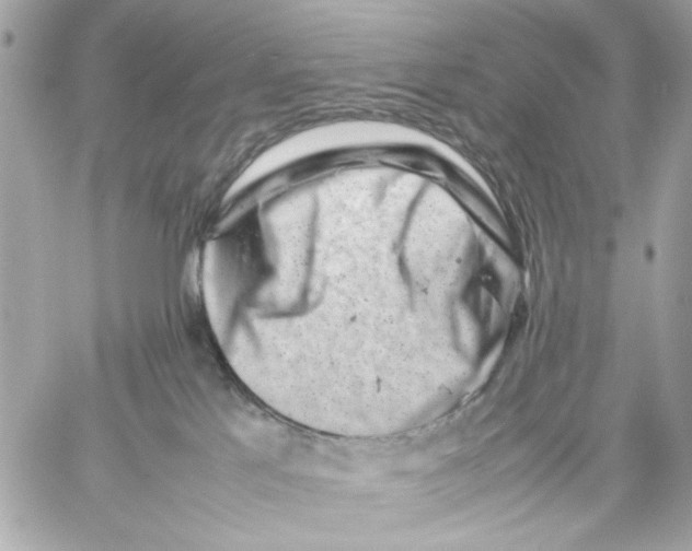 X0000057080041200510071856