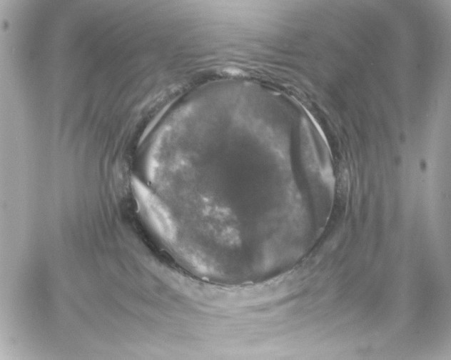 X0000057080043200510071856