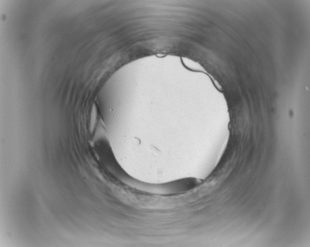 X0000057080044200510071856