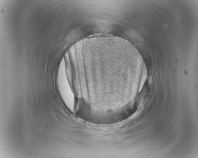 X0000057080045200510071856