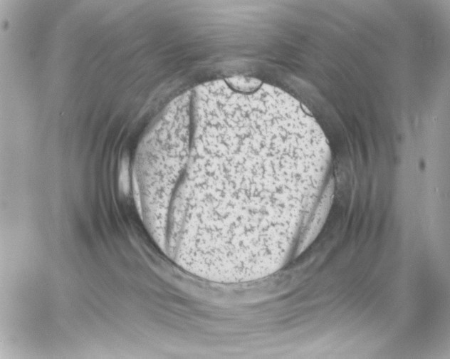 X0000057080046200510071856