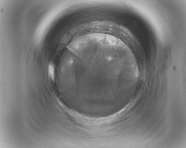 X0000057080047200510071856