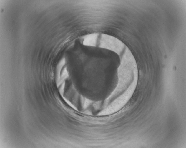 X0000057080048200510071856