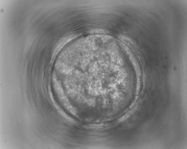 X0000057080049200510071856