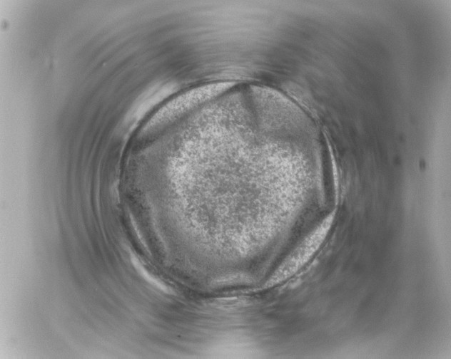 X0000057080050200510071856