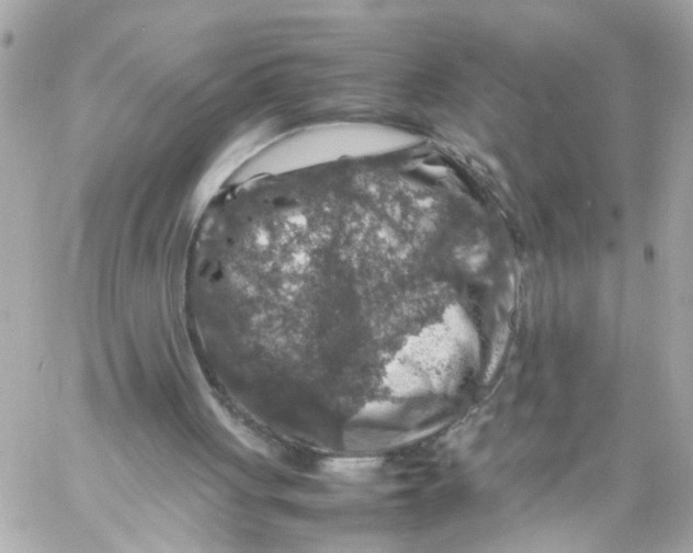 X0000057080051200510071856