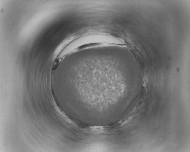 X0000057080052200510071856