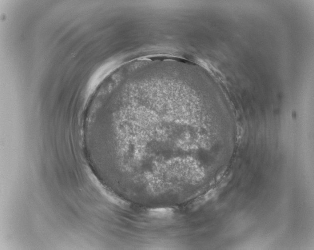 X0000057080053200510071856