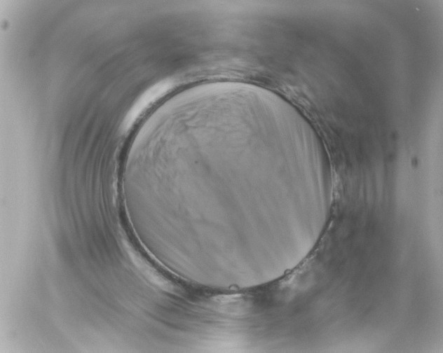 X0000057080054200510071856