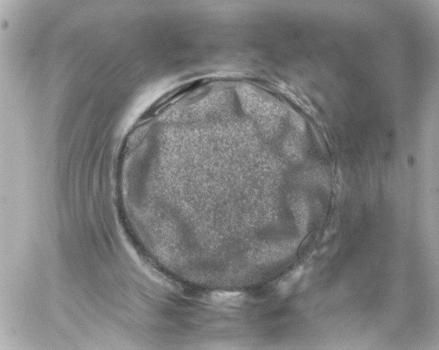 X0000057080055200510071856