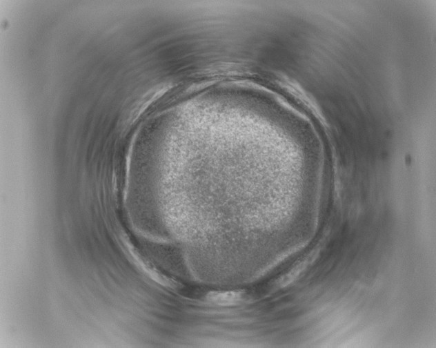 X0000057080057200510071856