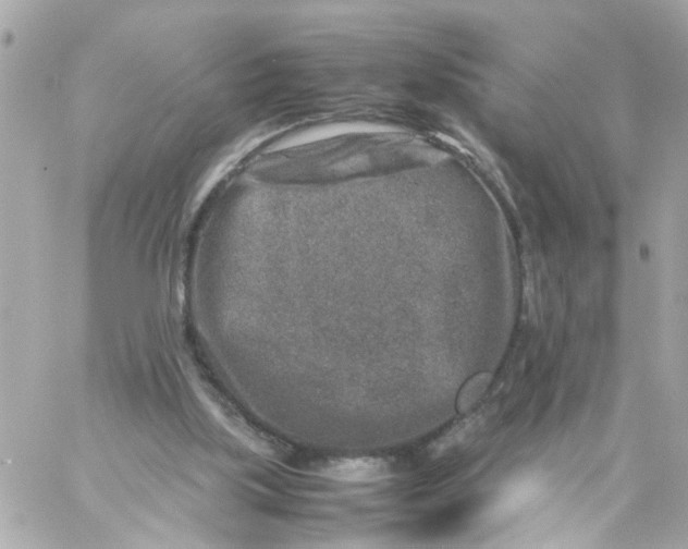 X0000057080059200510071856