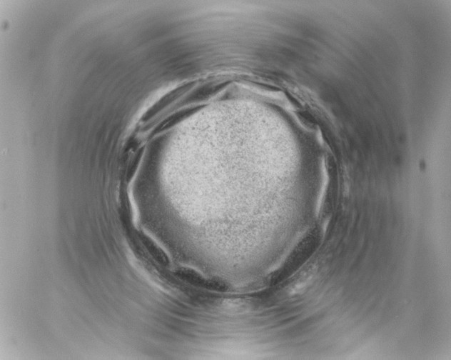 X0000057080060200510071856