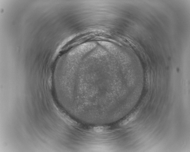 X0000057080064200510071856