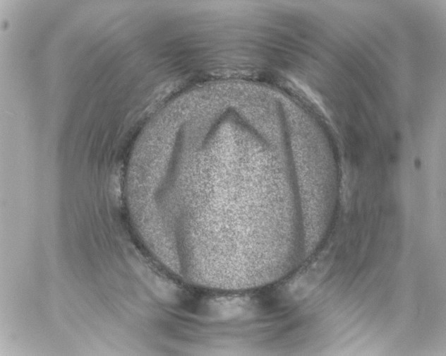 X0000057080065200510071856