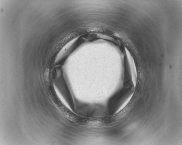 X0000057080066200510071856