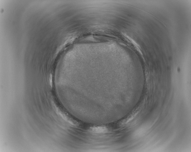 X0000057080067200510071856