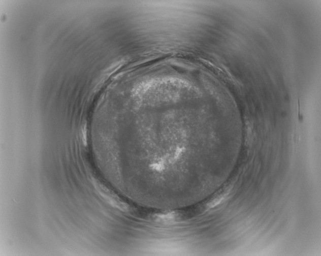 X0000057080068200510071856