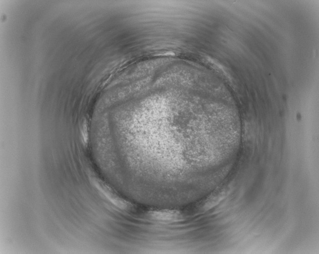 X0000057080069200510071856