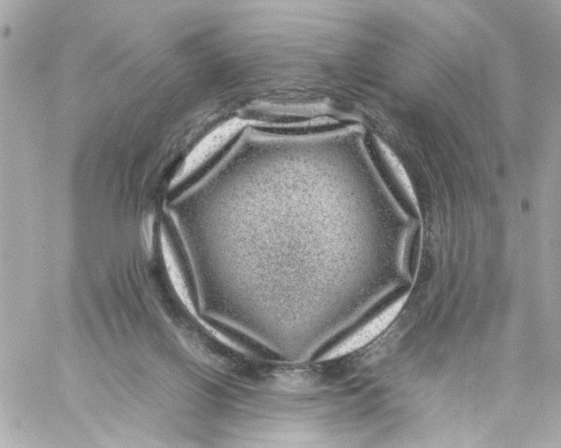 X0000057080070200510071856