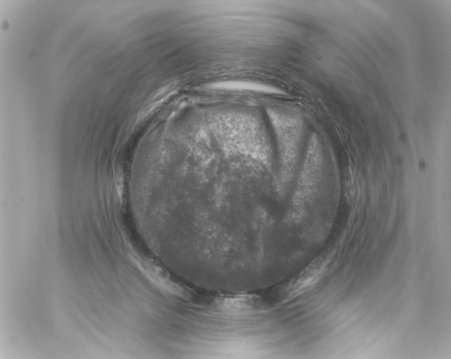 X0000057080072200510071856