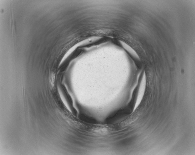 X0000057080075200510071856