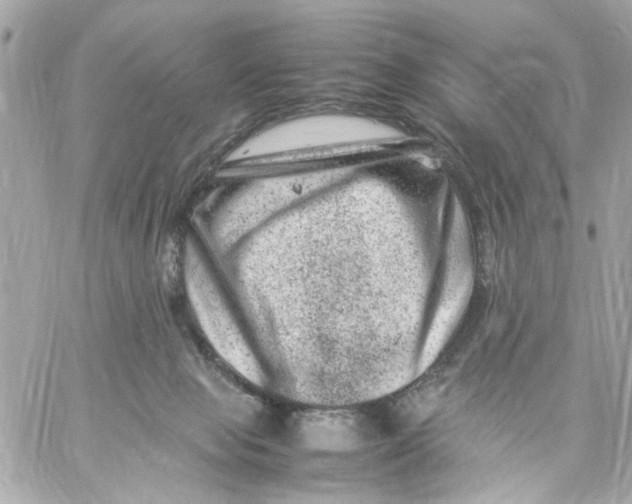 X0000057080077200510071856