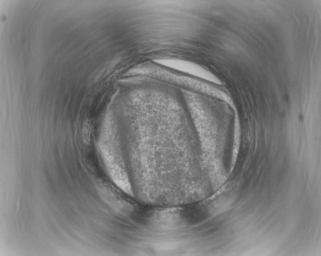 X0000057080078200510071856