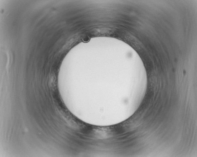 X0000057080079200510071856