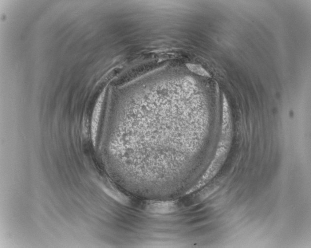 X0000057080081200510071856