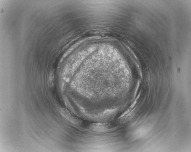 X0000057080082200510071856