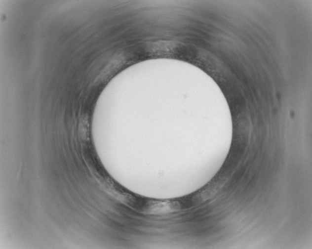 X0000057080083200510071856