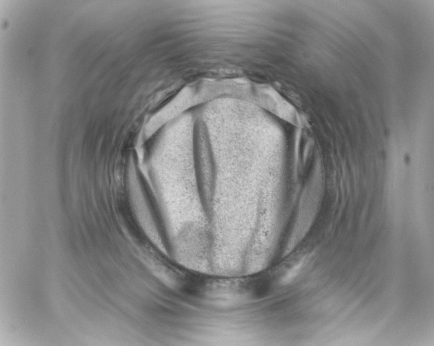 X0000057080084200510071856