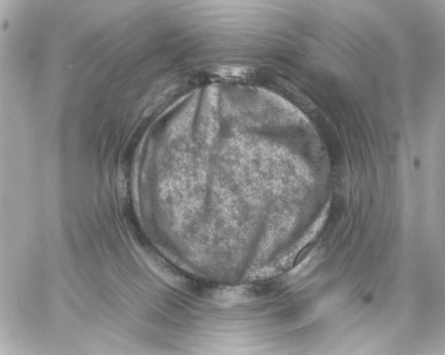 X0000057080086200510071856