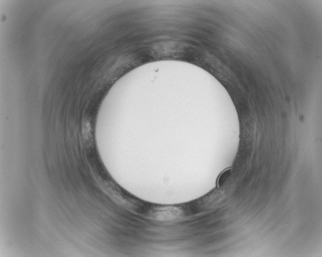 X0000057080087200510071856