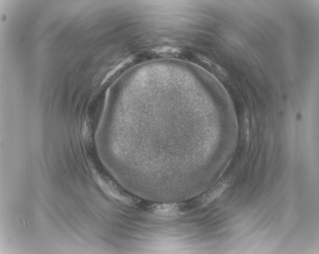 X0000057080088200510071856