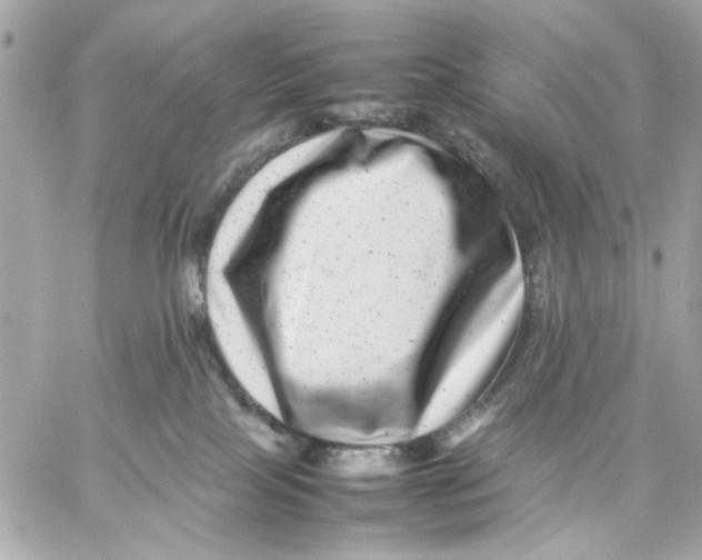 X0000057080089200510071856