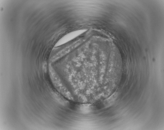 X0000057080090200510071856