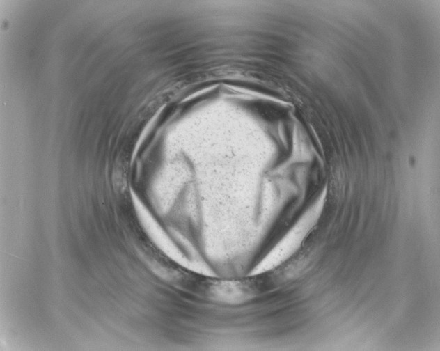 X0000057080091200510071856